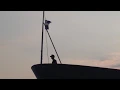 Greek Navy A478. Lowering of the flag prior to sunset Patra