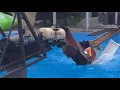 CRAZYTRAIN train crash compilation