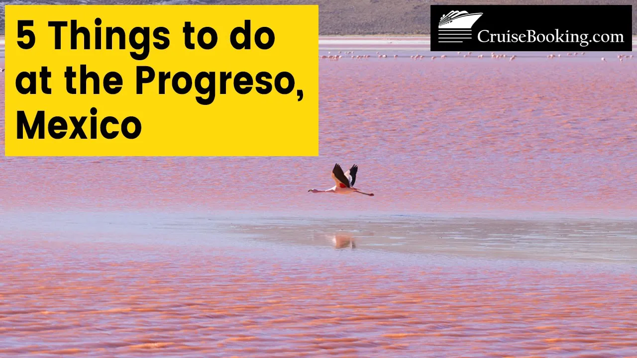 5 Things to do in Progreso, Mexico