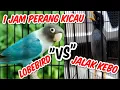 Download Lagu Lovebird \