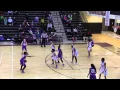 Brittanie Evans Basketball