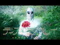 Download Lagu 上坂すみれ「ディア・パンタレイ」/ Sumire Uesaka「Dear Panta Rhei」MUSIC VIDEO
