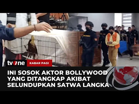 Bea Cukai Bandara Soetta Tangkap Aktor Bollywood Selundupkan Satwa Liar Langka
