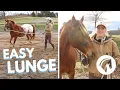 Download Lagu HOW TO TEACH A HORSE TO LUNGE 🐴