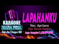 Download Lagu Lapahanku Karaoke Nada PRIA / COWOK || Lagu Dangdut LAMPUNG Apriana - Cipt. Tarwis Tumbai