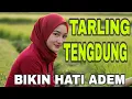 Download Lagu TARLING TENGDUNG BIKIN HATI TENANG