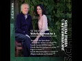 Grande Sonate in B Flat Major D. 617: Allegretto