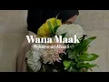 Download Lagu Wana Maak-[speed up Tiktok]