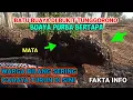Download Lagu jombang gempar viral, batu buaya muncul di gunung tunggorono