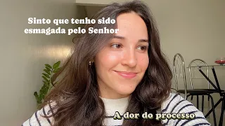 Deus não causa dor sem permitir que nasça algo novo
