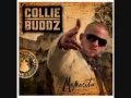 Lagu collie buddz - come around