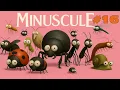 Download Lagu Minuscule acrobatics - Compilation #16 #antkeeper #hobby #ants #diy #forkids #nature
