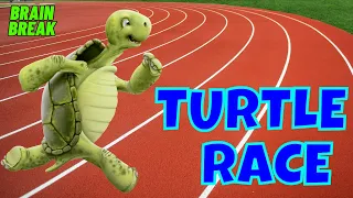 TURTLE RACE BRAIN BREAK EXERCISE BREAK MOVEMENT ACTIVITY BETTER THAN FREEZE IS LAVA