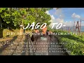 Download Lagu SIBY RONDONUWU - JAGO TO Ft. BRAYEN ANSYU ( Official Music Video )