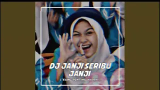 dj janji seribu janji