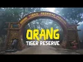 Lagu Mini Kaziranga Safari: Orang Tiger Reserve | Assam Wildlife Tour