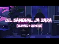 Download Lagu Dil Sambhal Ja Zara - [Slowed+Reverb] - Emraan Hashmi - Mohd Irfan - Arjit Singh Lofi Song