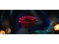 Video di La Bella e la Bestia - Teaser Trailer Italiano Ufficiale | HD