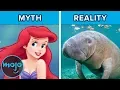 Download Top 10 Myths With Surprising Origin Stories mp4 3gp mp3 videos - waplic