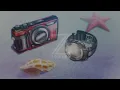 Marshmello, Portugal. The Man - Phoenix | AMV