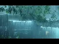 Beat Insomnia Instantly to Sleep Soundly with Relaxing Heavy Rain & Strong Thunder on Rainy Night