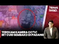 Download Lagu Ibu Rumah Tangga Tertangkap Basah Curi Barang di Swalayan, Aksi Terekam CCTV! - iNews Siang 15/10