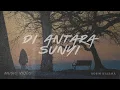 Lagu Di Antara Sunyi  (music video)