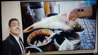 الفسیخ انتن واعفن اكله علي وجه الأرض مستر محمد صالح هتموت من الضحك احياء ثالثة ثانوى 