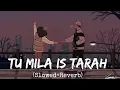 Download Lagu Tu Mila Jis Tarah Saba Mile [Slowed + Reverb] - Shafaqat Ali || Raaz 3 || Rahul Vibes || Indian lofi