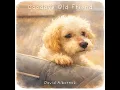 Goodbye Old Friend - David Albornoz