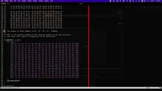 Project Euler Problem 11