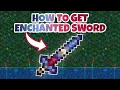 Enchanted Sword Seed CONSOLE