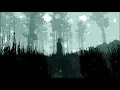 Null Moon - Silent Hill 2 Slowed down with snow effect
