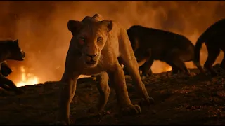 the lion king 2019 simba team vs scar team