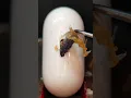 Cleaning AirPods Case Charging Port with Red Hot Glue