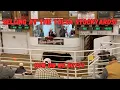 Tulsa Stockyards February Cattle Auction How did we do