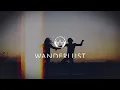 Portugal. The Man - Feel it Still (Medasin Remix)