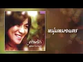 หนุ่มหมอแตร - สุภัทรา โกราษฎร์ [OFFICIAL SONG]