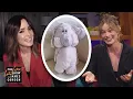 Download Lagu Rabbits Are Special to Margot Robbie \u0026 Rose Byrne
