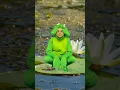 Download Lagu Big Frawgs #parody of Big Dawgs by Hanumankind #comedy #music