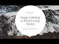 Image Labeling in Flutter using MLKit MLKit in Flutter Using MLKit in Flutter aseemwangoo