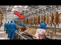 Lagu Inside the Tiger Leather Factory From Tiger Skin to Luxury Jacket ( Full Process )