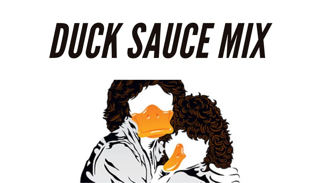 Duck Sauce ┃ DJ Mix
