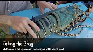 Giant Lobster | Clean & Cook-up (B2B: Ep 14)