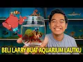 Download Lagu BELI LARRY SI UDANG PEMUKUL BUAT AQUARIUM LAUT KITA! SEKALI PUKUL AQUARIUM BISA PECAH!