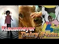 Visit to Klausmeyer Dairy Farm