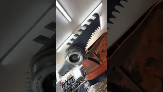 MULCHER Blade for TRIMMER!? #trimmer #blade #mulching #trimmerhead #grass #saplings #mowing #ds