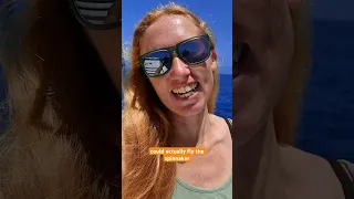Solo sailing with a spinnaker
