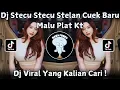 DJ STECU STECU STELAN CUEK BARU MALU PLAT KT VIRAL TIK TOK TERBARU 2025 YANG KALIAN CARI ❕