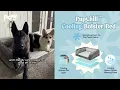 Revolutionary Cooling Dog Bed PupChill Cooling Bolster Dog Bed Review